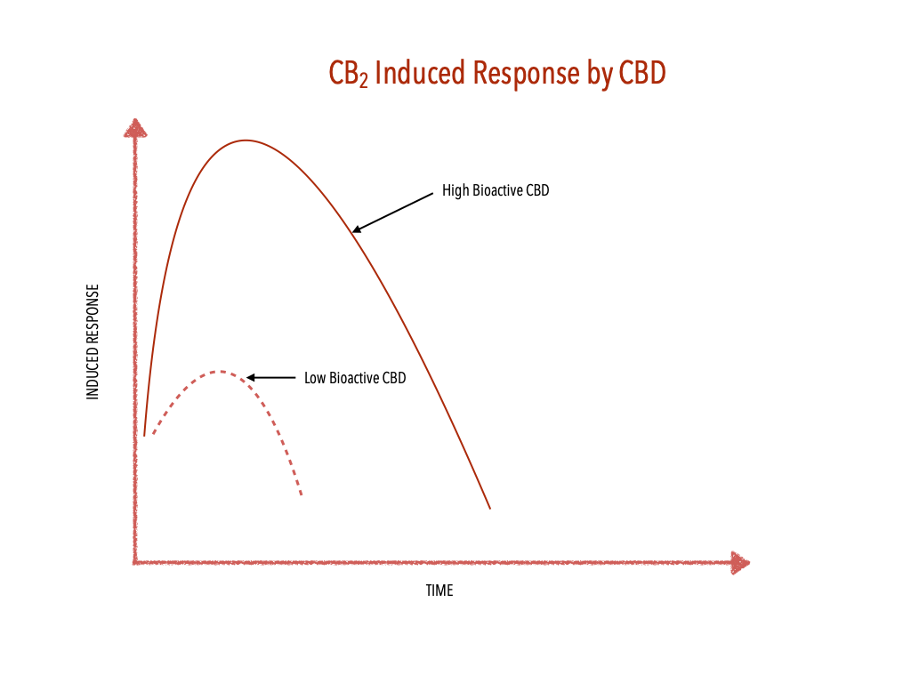 Graph illustrating CB2 receptor–induced response over time, comparing higher bioactivity cannabidiol (CBD) with lower bioactivity CBD.