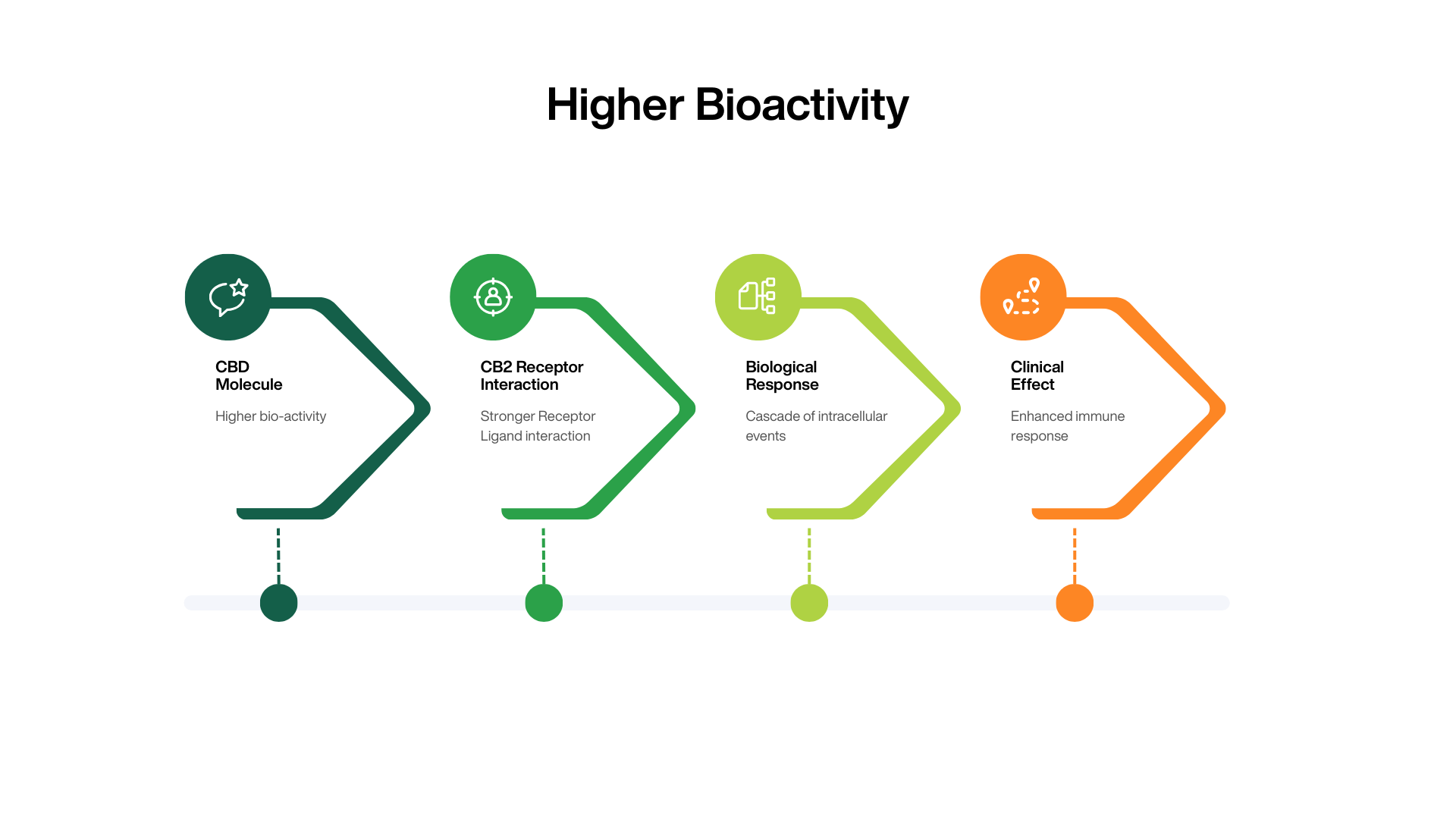 Diagram illustrating the progression from a cannabidiol (CBD) molecule to CB2 receptor interaction, followed by a biological response and downstream clinical effect, emphasizing the role of higher bioactivity.